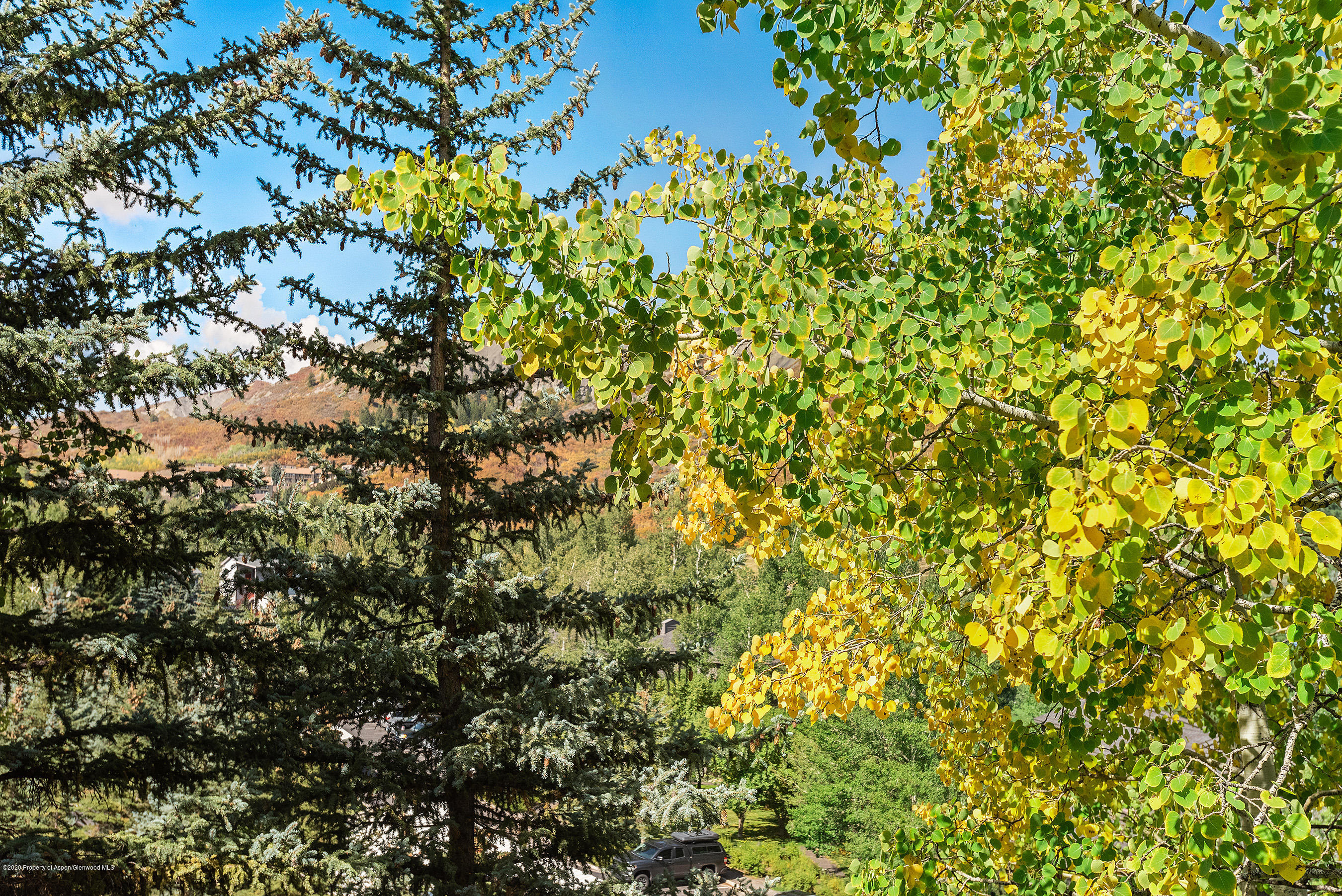 222 Meadow Ranch Road, Unit D4B Snowmass Village, CO 81615 - Photo 24 of 26 a view of a tree