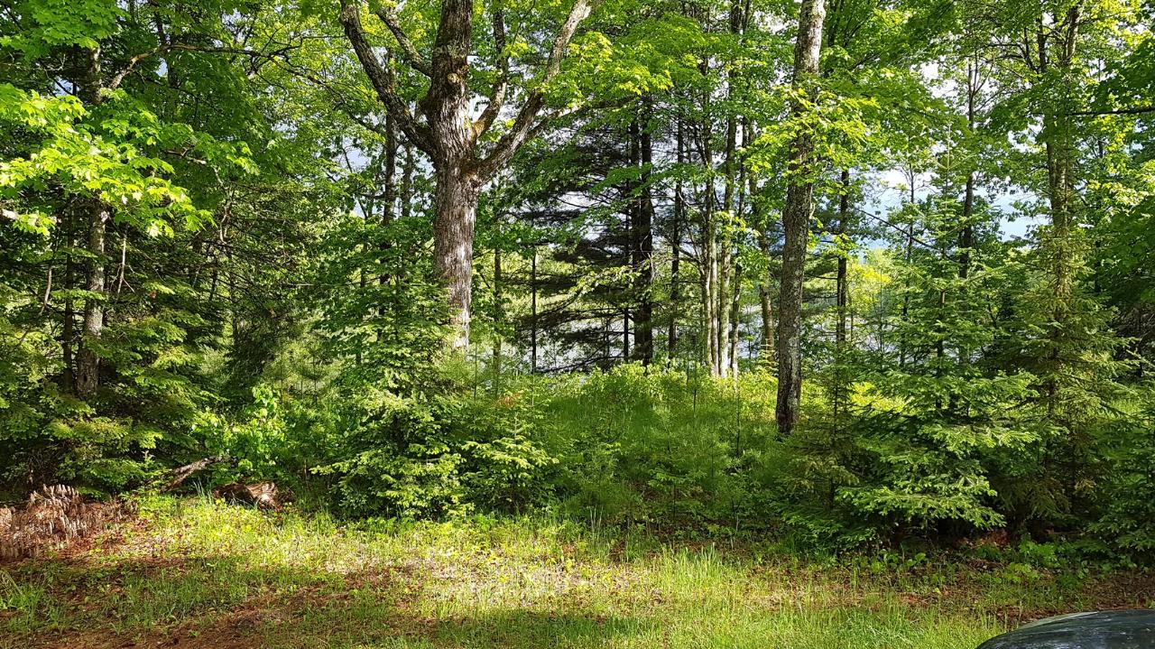 6150 Bambiland Road Mercer, WI 54547 - Photo 40 of 62 Gallery Image 40
