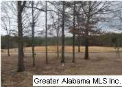 625 Hazel Lane Alpine, AL 35014 - Photo 10 of 12