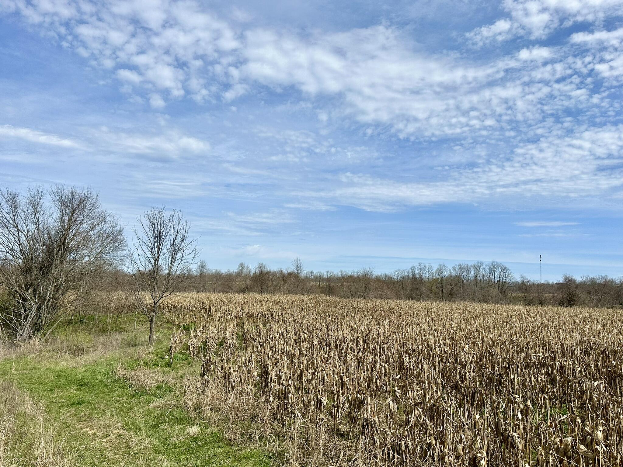 3818 Buckeye Road Lancaster, KY 40444 - Photo 2 of 23 IMG_3071