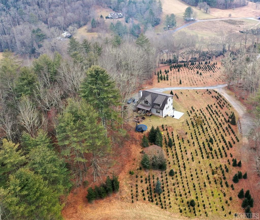 152 Chimney Pond Road Cullowhee, NC 28723 - Photo 4 of 26 Gallery Image 4