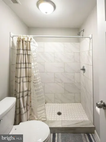 a bathroom with a shower and a toilet