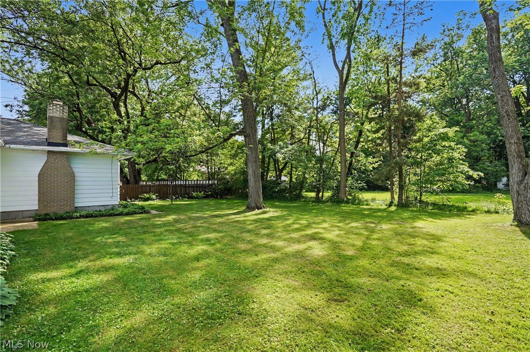 5035 New Road Youngstown, OH 44515 - Photo 45 of 48