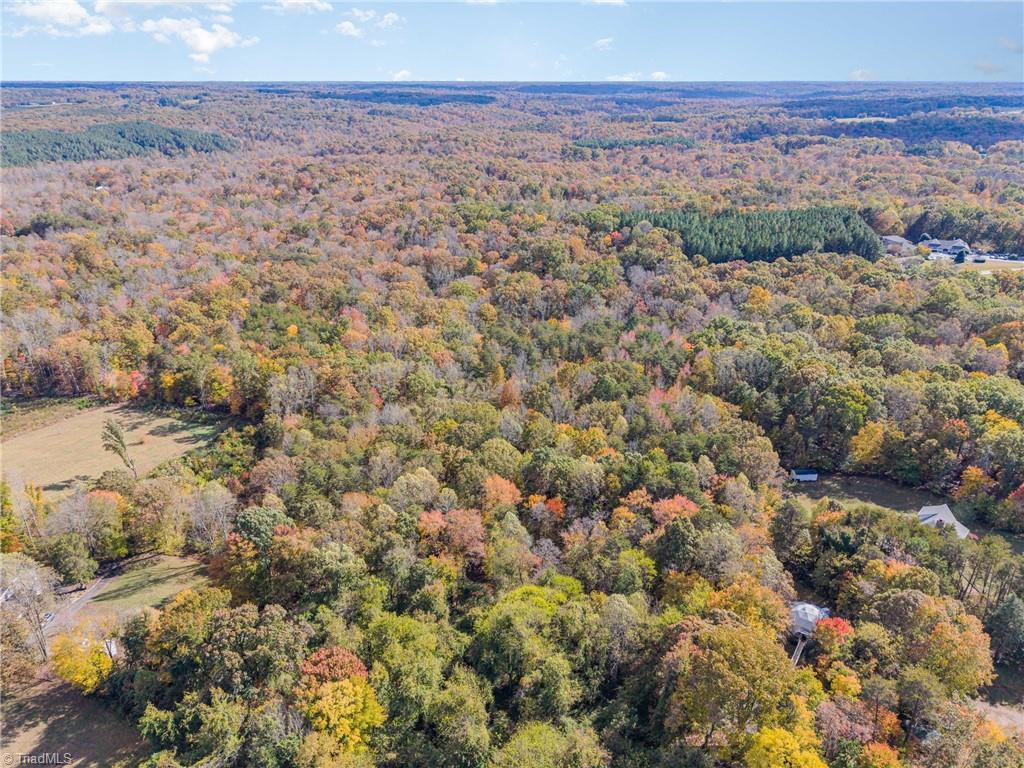 2080 Pannel Road Reidsville, NC 27320 - Photo 50 of 50