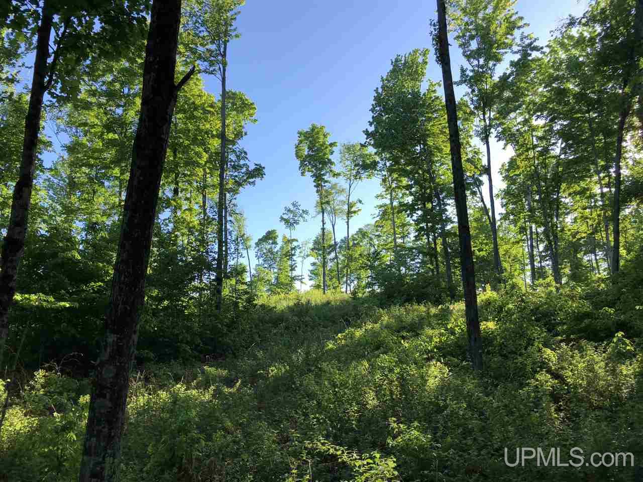 2353 Co Rd 442 Rapid River, MI 49878 - Photo 9 of 20