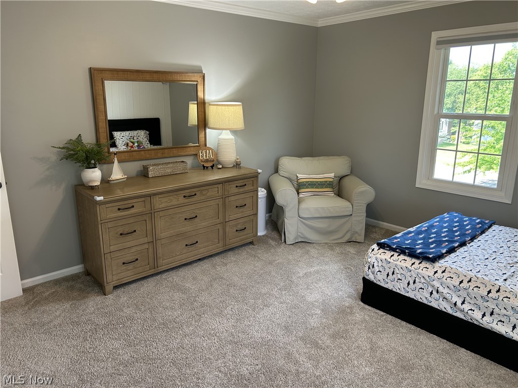 8575 Park Ridge Lane Macedonia, OH 44056 - Photo 15 of 25