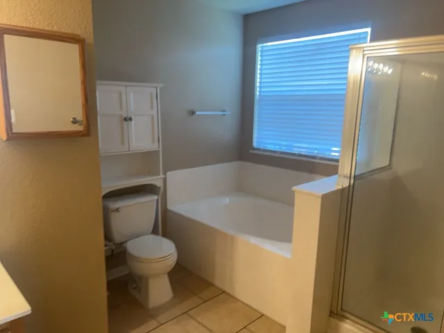 a bathroom with a toilet and a bathtub