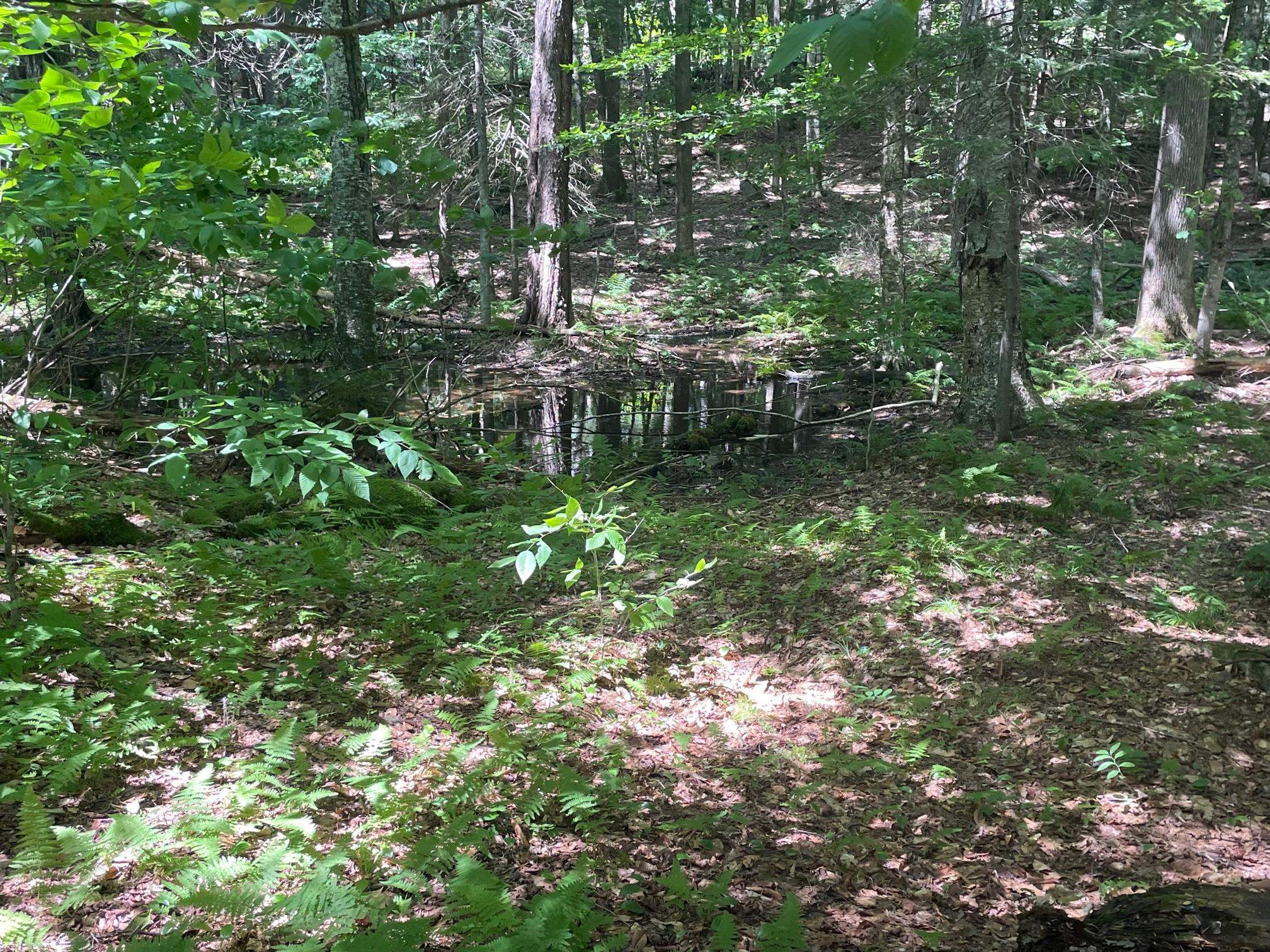 0 Mosquitoville Road Barnet, VT 05821 - Photo 3 of 10