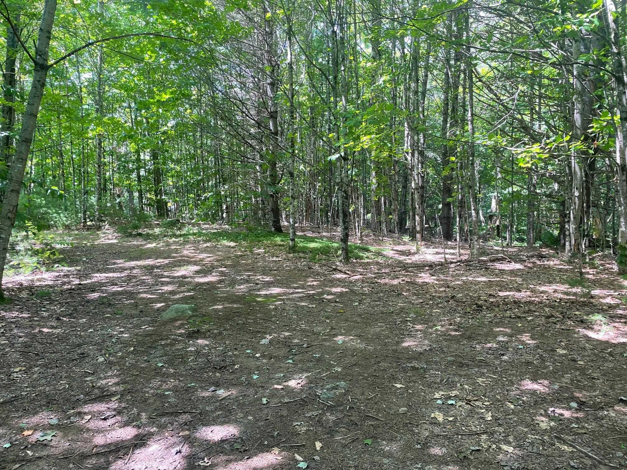 0 Mosquitoville Road Barnet, VT 05821 - Photo 6 of 10