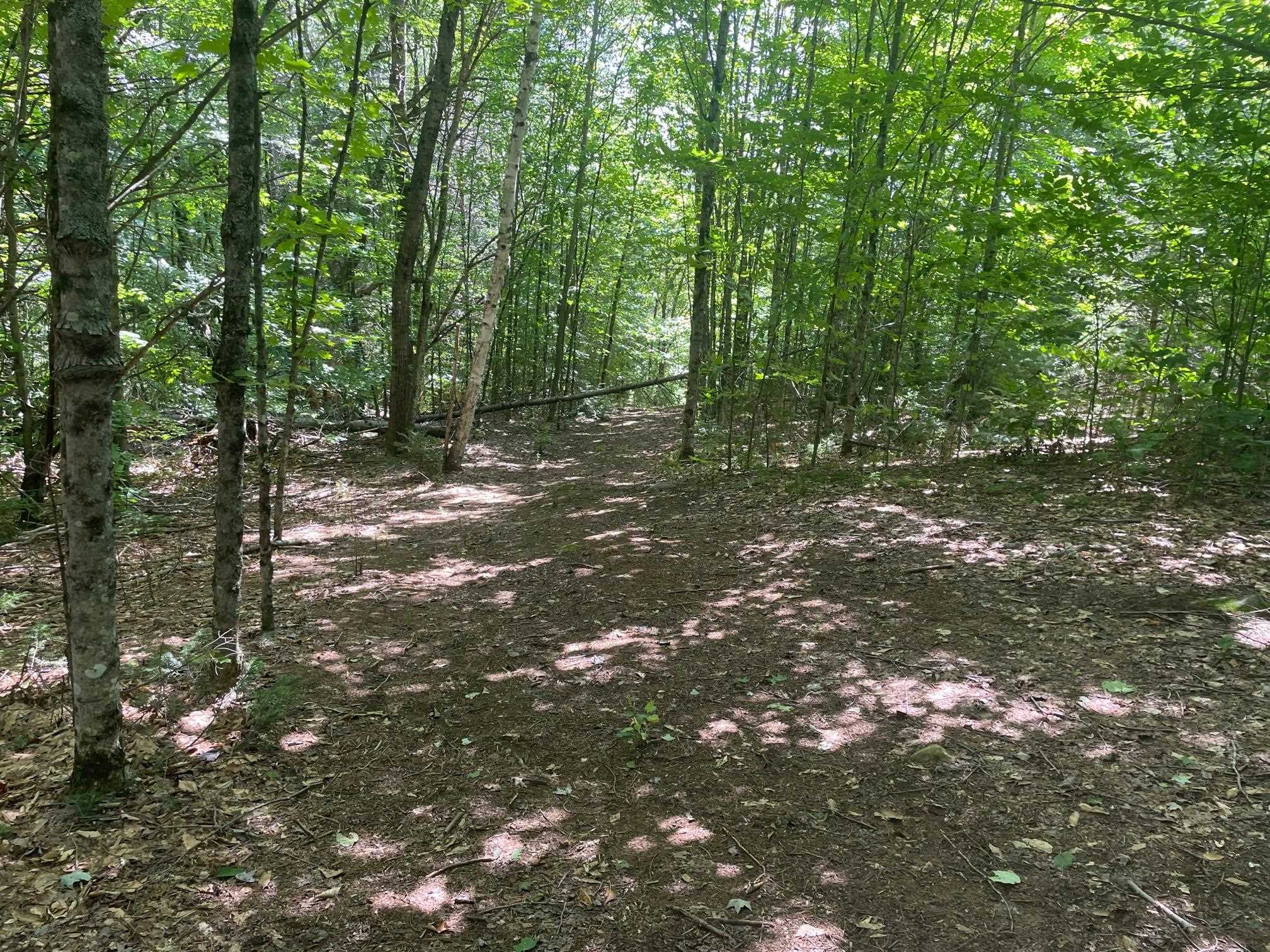 0 Mosquitoville Road Barnet, VT 05821 - Photo 7 of 10