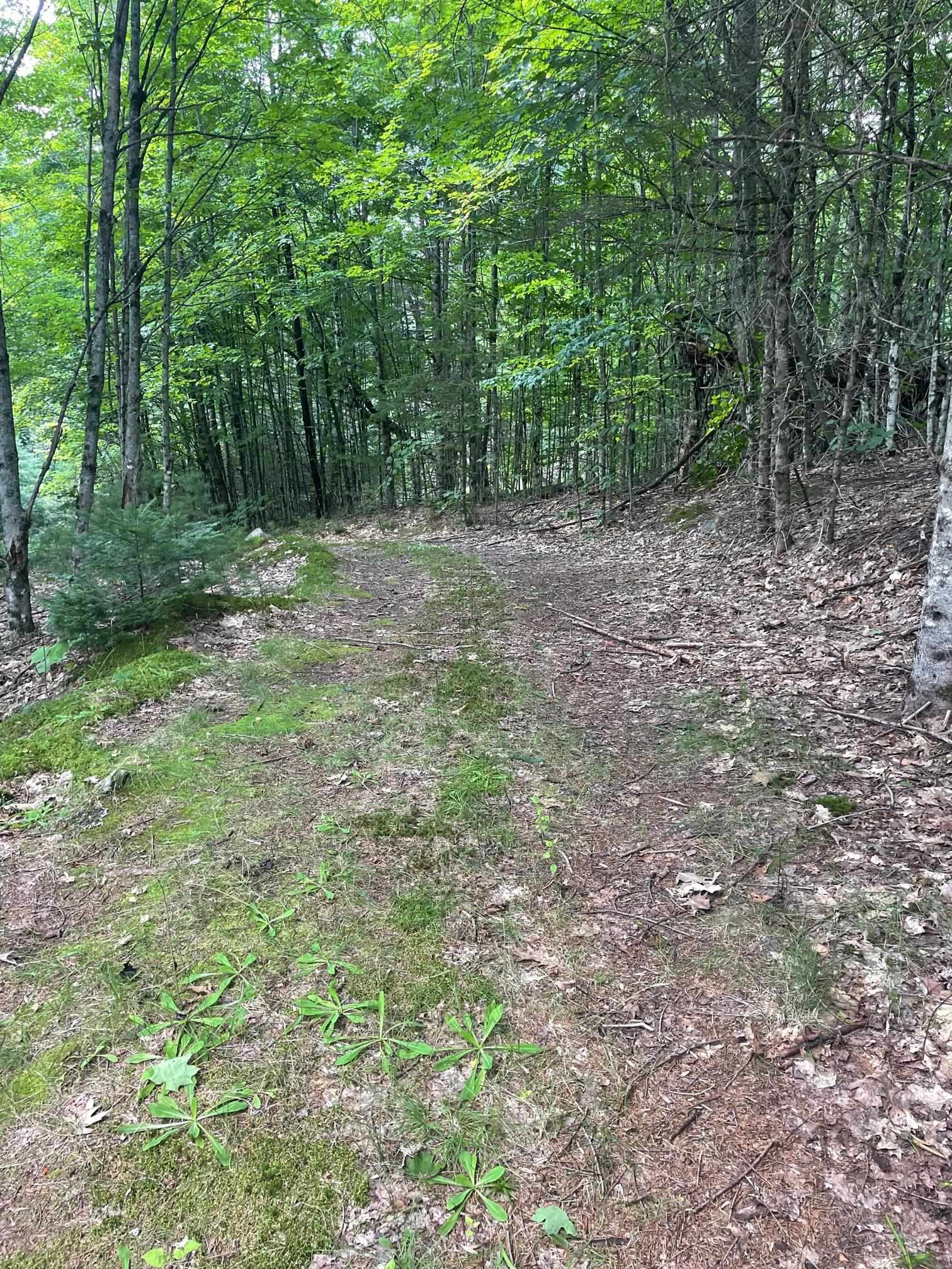 0 Mosquitoville Road Barnet, VT 05821 - Photo 10 of 10