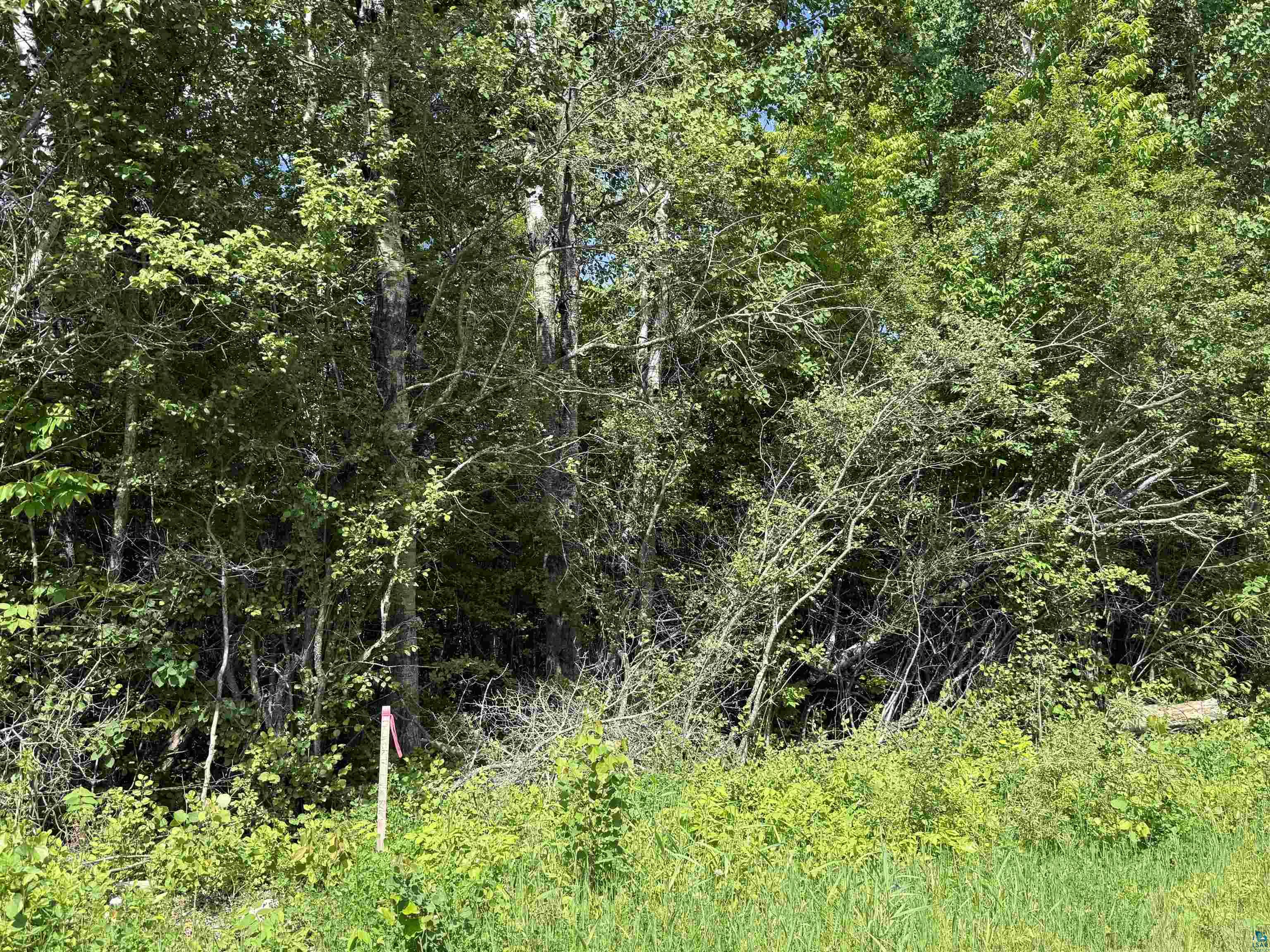 Parcel B Parcel B Parameter Road Deer River, MN 56636 - Photo 6 of 17