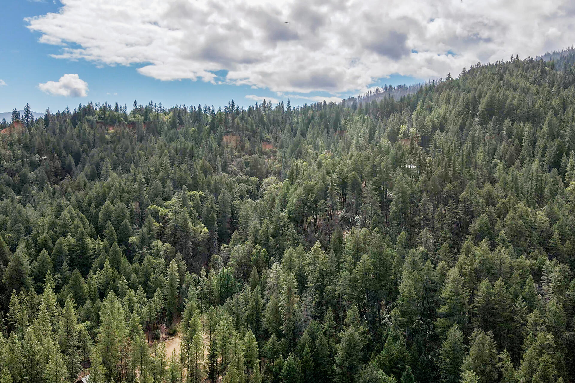 2130 Wintu Pass Road Junction City, CA 96048 - Photo 20 of 29 0052