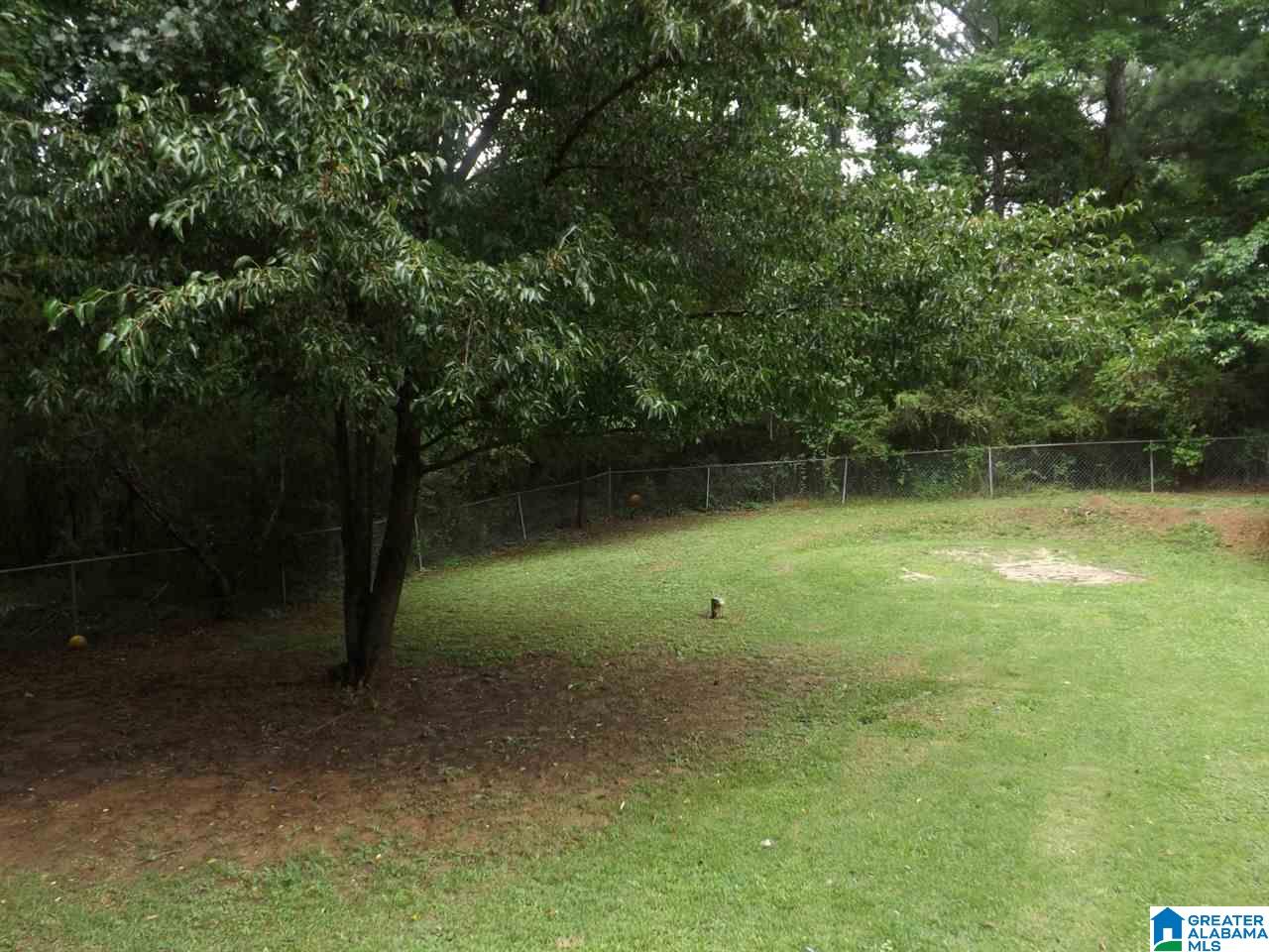812 Sunshine Avenue Oneonta, AL 35121 - Photo 7 of 47