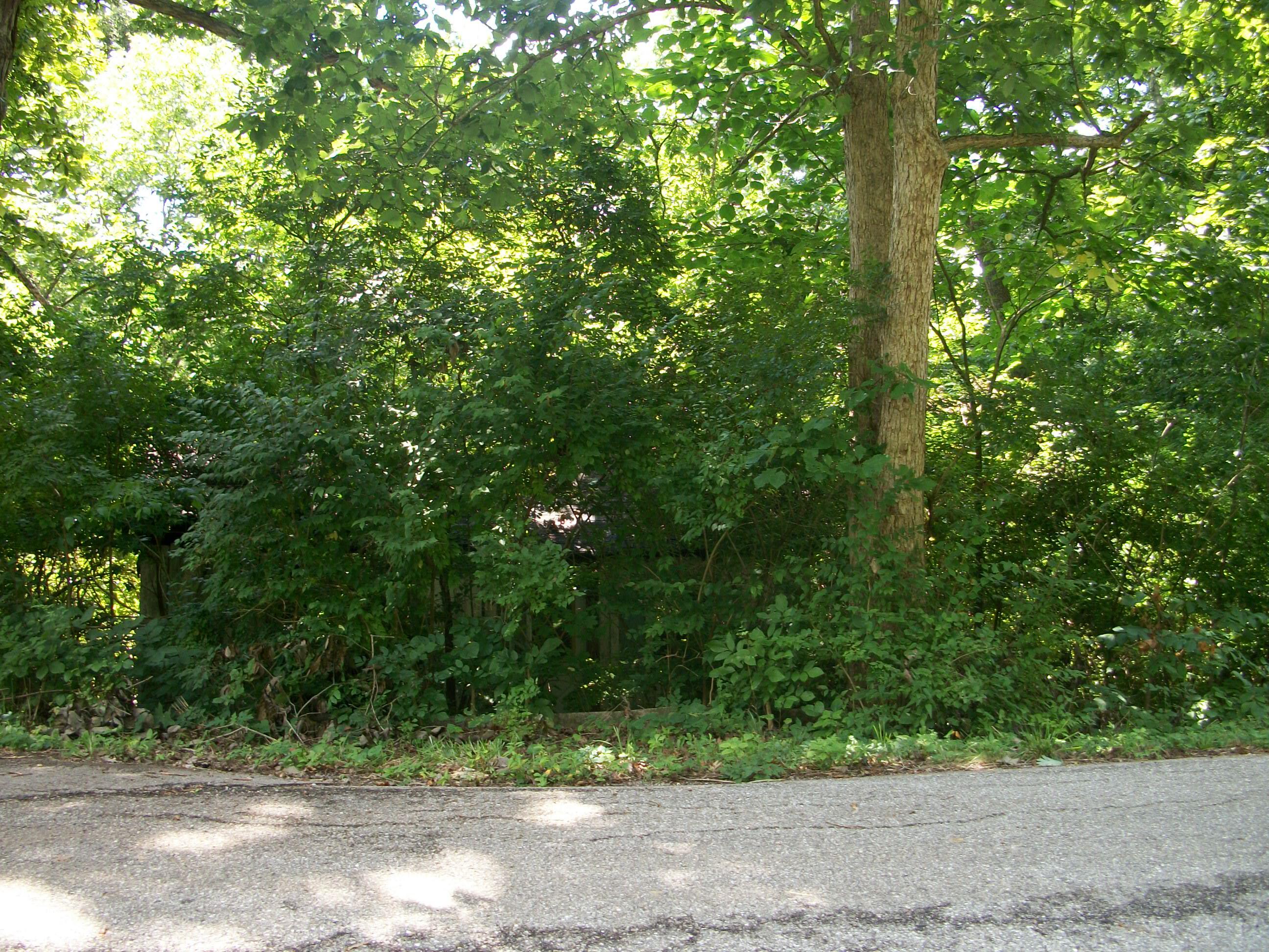 1 Lillards Ferry Road Versailles, KY 40383 - Photo 2 of 8 100_5095