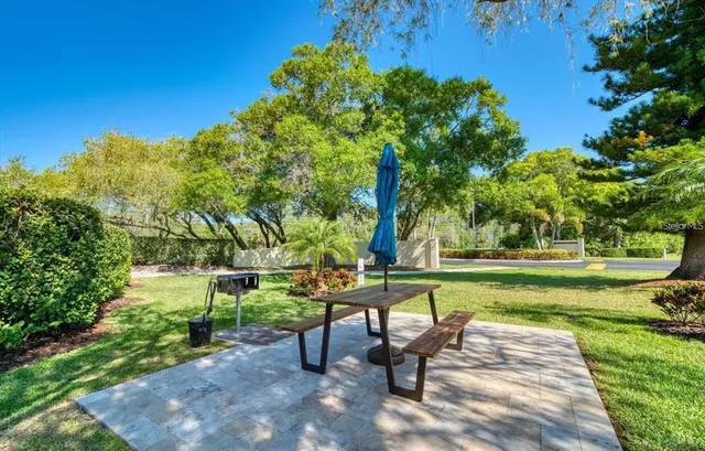 a view of a park with large trees