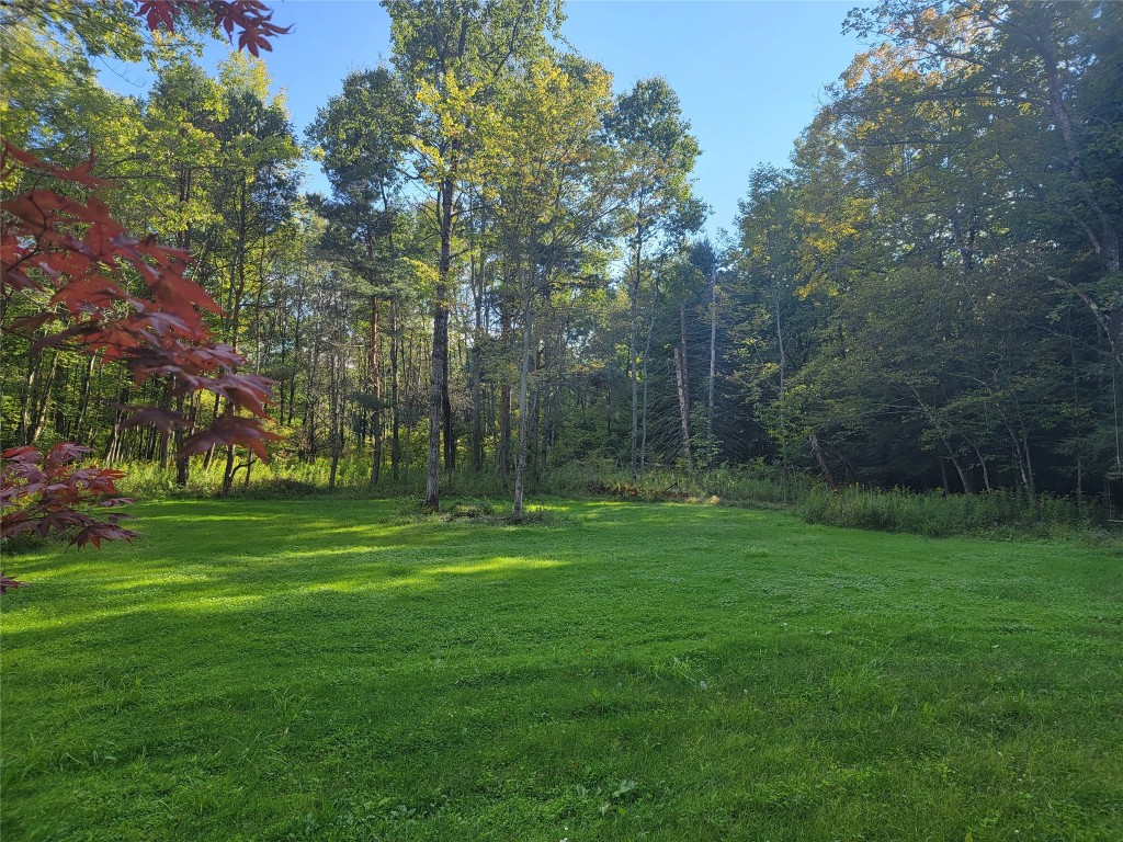 3271 Foster Valley Road Owego, NY 13827 - Photo 8 of 39 Gallery Image 8