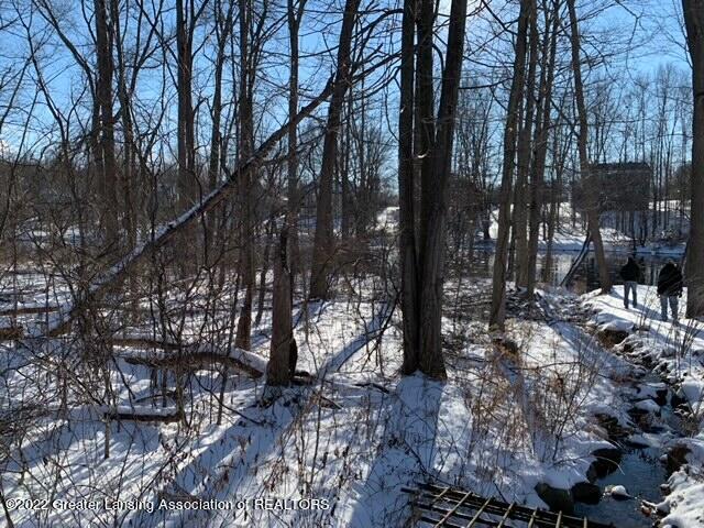 Lot 25 Dimond Way Dimondale, MI 48821 - Photo 2 of 14 IMG_2313
