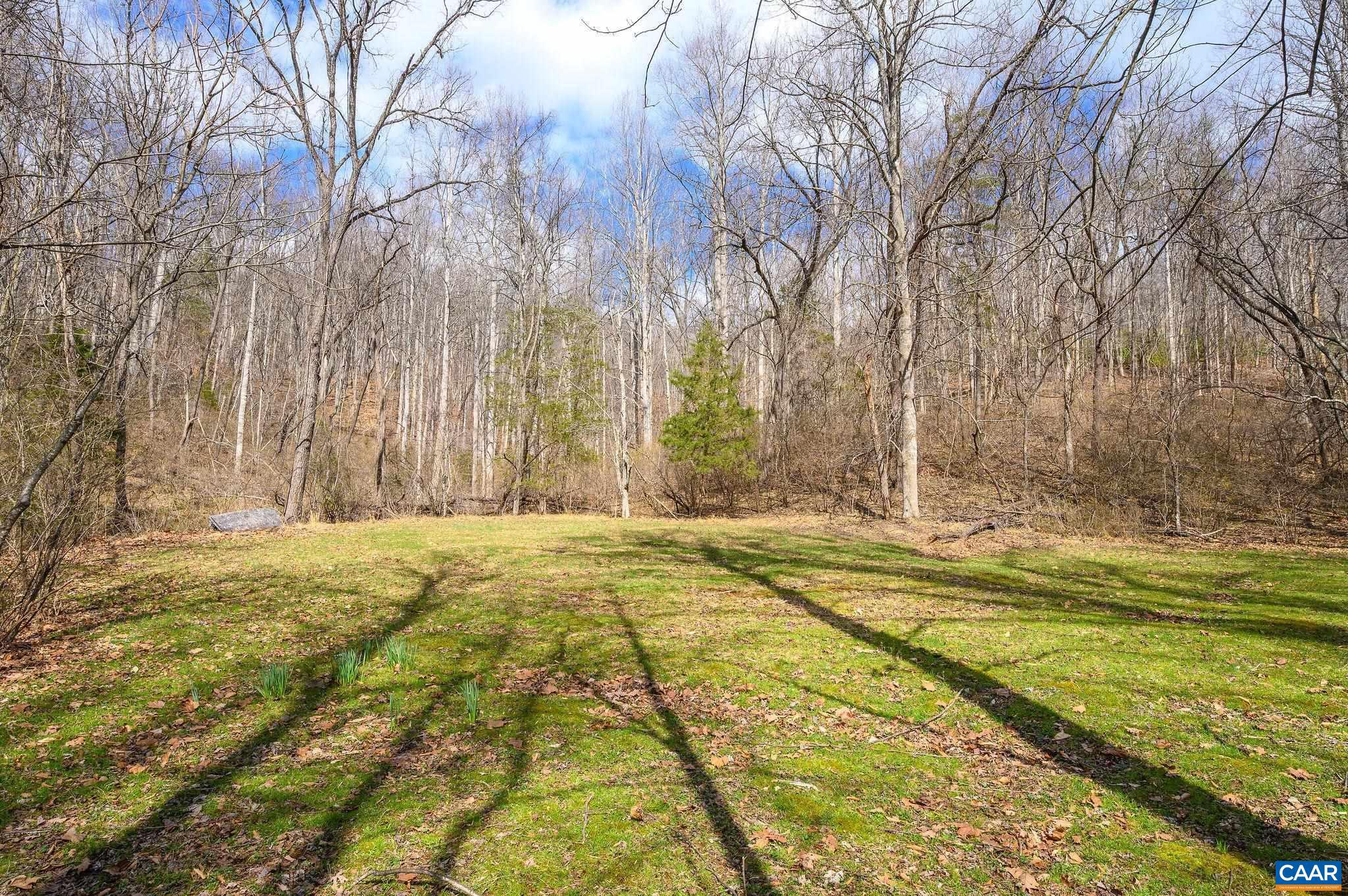 1102 Duncan Hollow Loop Faber, VA 22938 - Photo 27 of 34