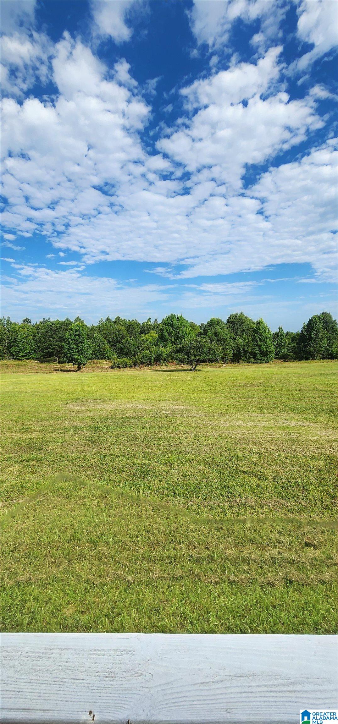 3606 Hicks Road Oneonta, AL 35121 - Photo 54 of 61