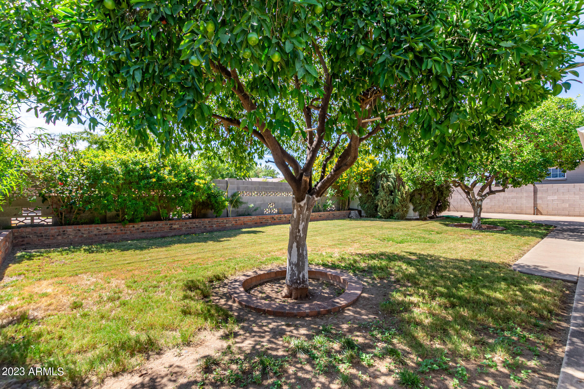 201 West Ruth Avenue Phoenix, AZ 85021 - Photo 42 of 47 42 - Ruth