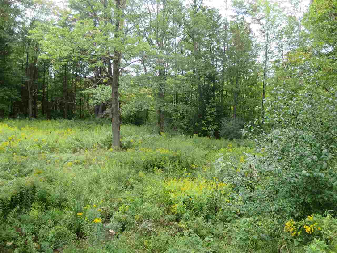 315 Beech Street Bennington, VT 05201 - Photo 37 of 38 Gallery Image 37