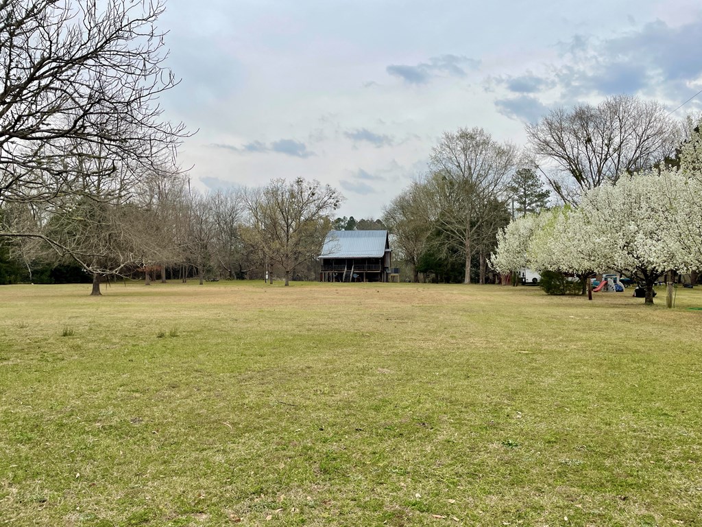 31 River Road Reynolds, GA 31076 - Photo 3 of 22 a view of yard with large trees