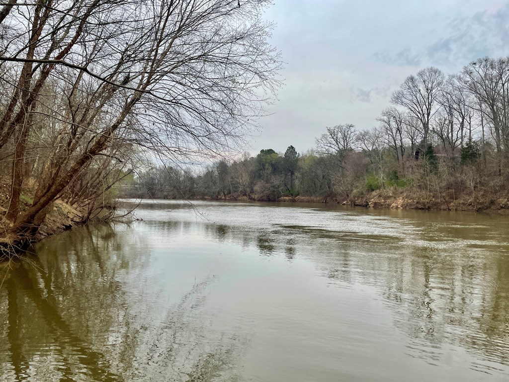 31 River Road Reynolds, GA 31076 - Photo 7 of 22 a view of lake with green space