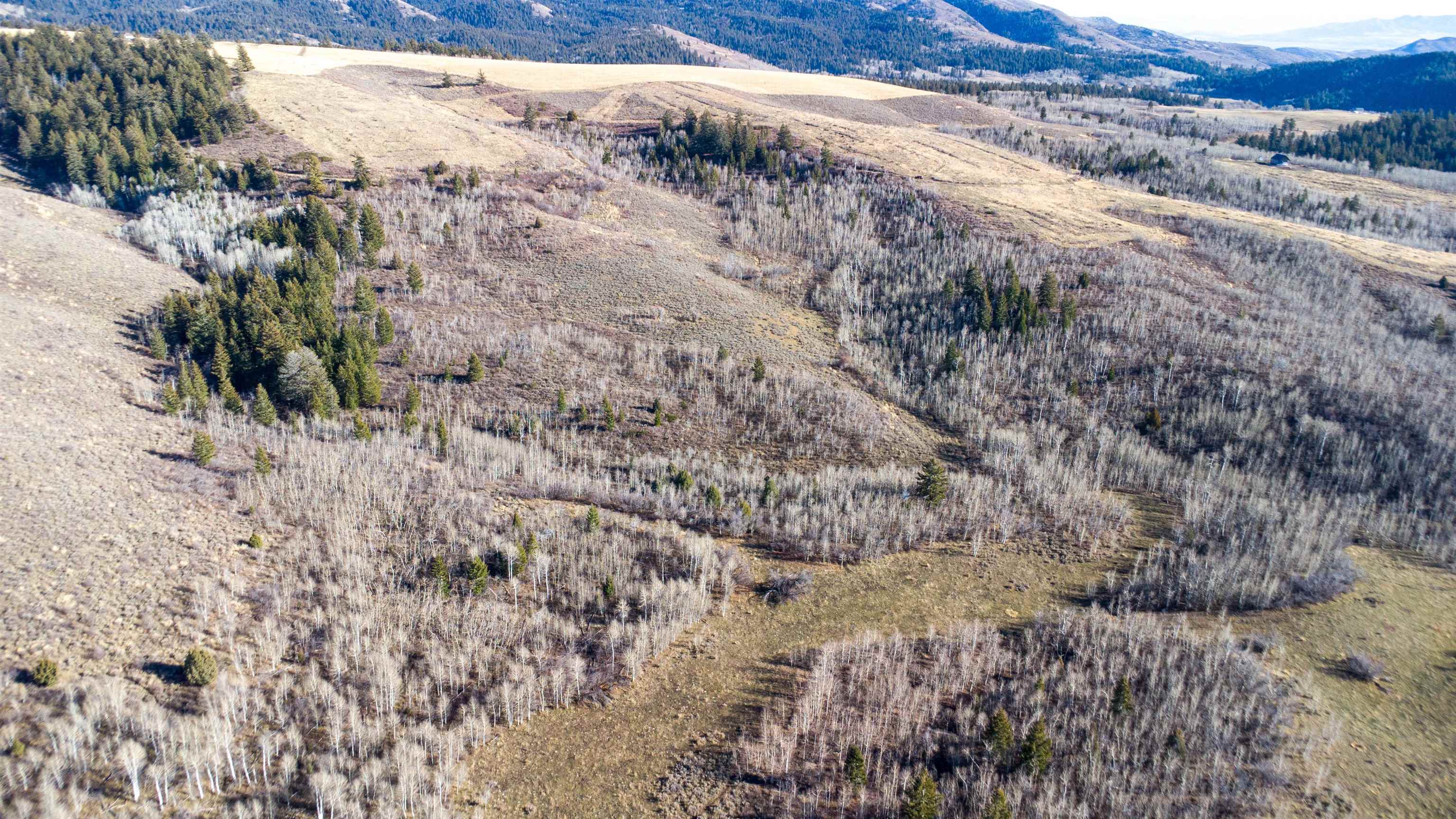 Mercer Creek Road Arimo, ID 83214 - Photo 6 of 23 Gallery Image 6