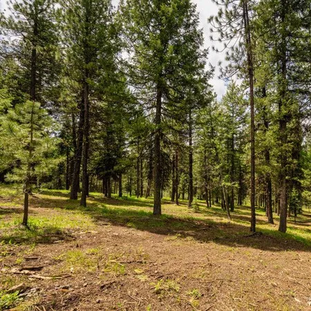 $500,000 | Lot 21 To Be Determined, Unit 21, McCall, ID 83638