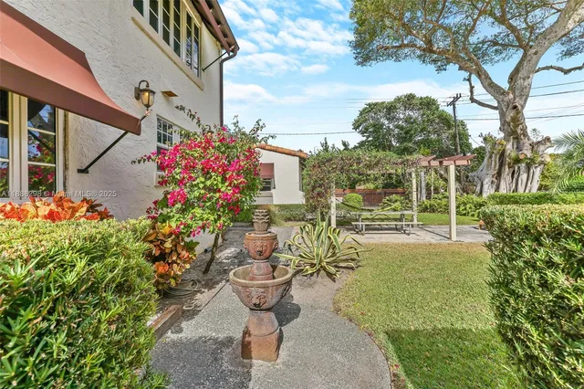 a view of a garden with plants