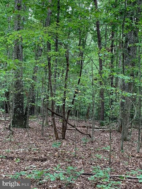 27166 Tatum Road Unionville, VA 22567 - Photo 1 of 1 Gallery Image 1