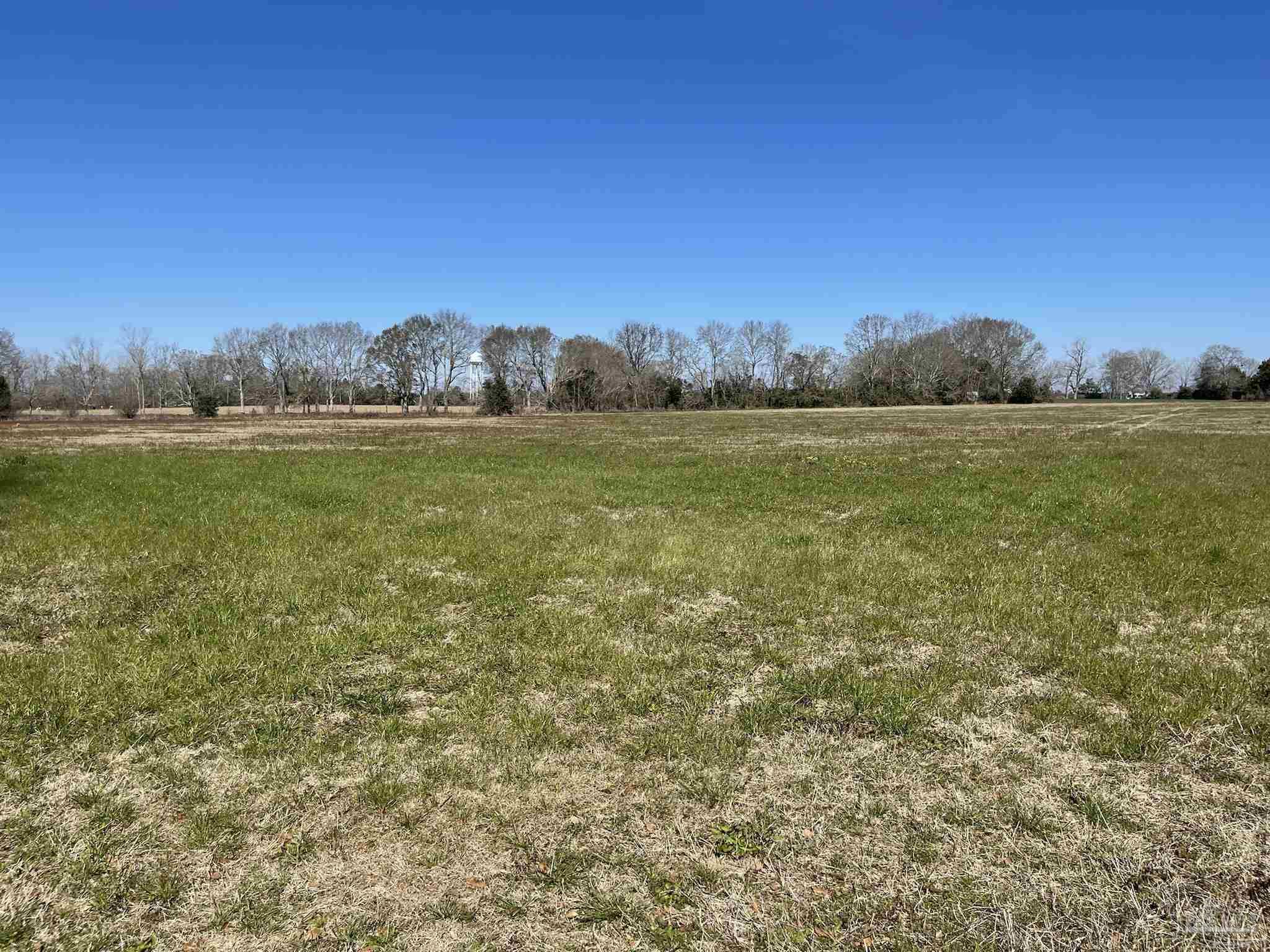 2-03 Cedarview Road, Unit PARCELS F & G Milton, FL 32570 - Photo 8 of 14 Gallery Image 8