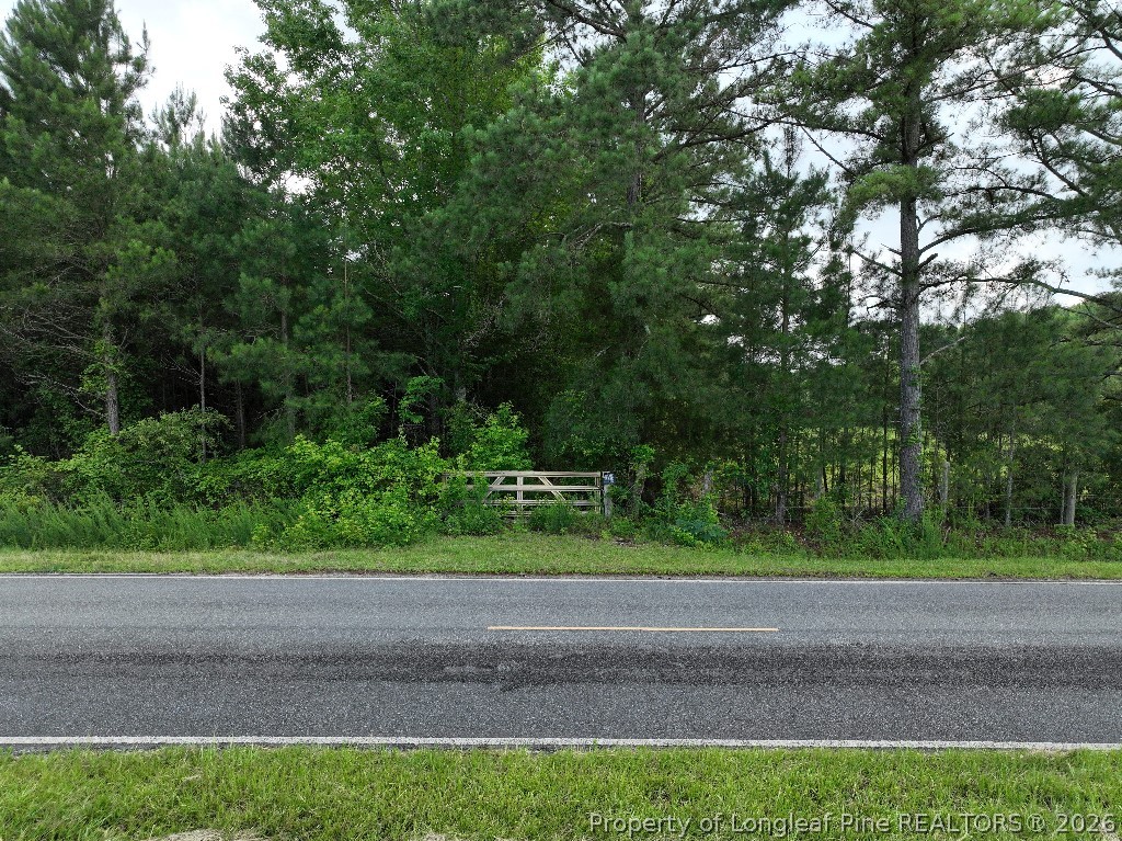 8125 Carlos Road Linden, NC 28356 - Photo 3 of 5 a view of a yard