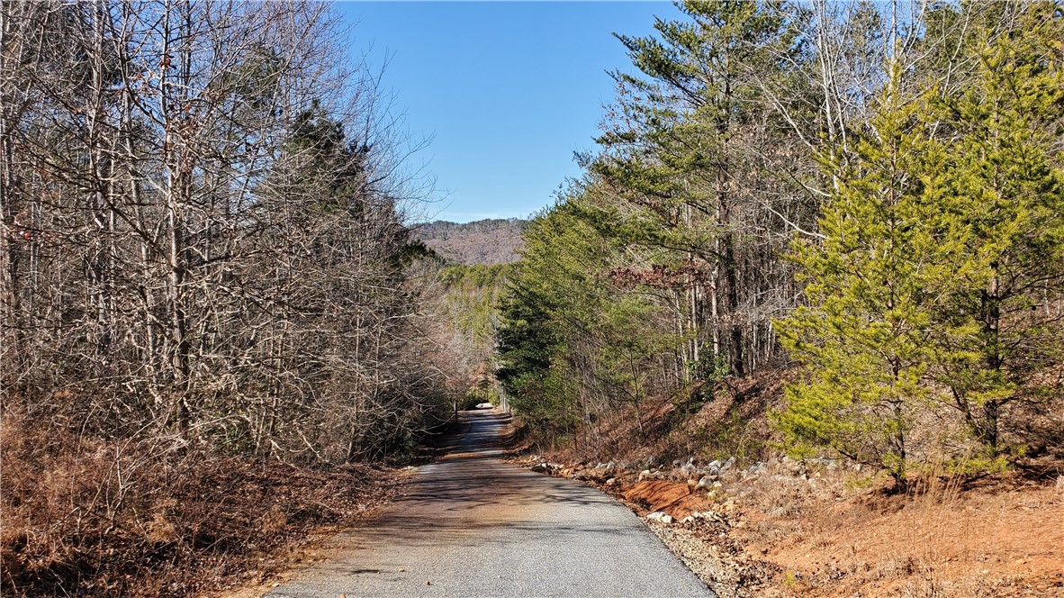 0 Brasstown Road, Unit LOT 3 Westminster, SC 29693 - Photo 1 of 5 Gallery Image 1
