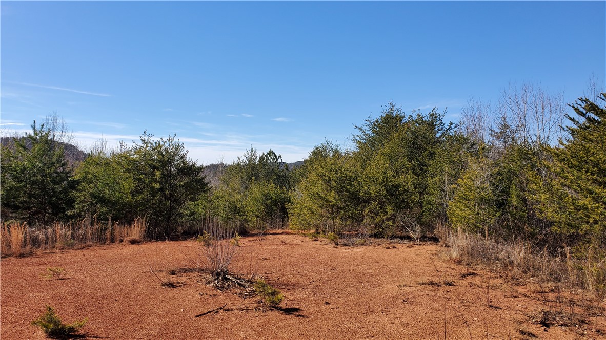 0 Brasstown Road, Unit LOT 3 Westminster, SC 29693 - Photo 5 of 5 Gallery Image 5