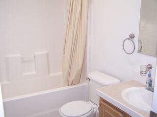412 West Alpine Road Austin, TX 78704 - Photo 6 of 15 a bathroom with a sink toilet and shower