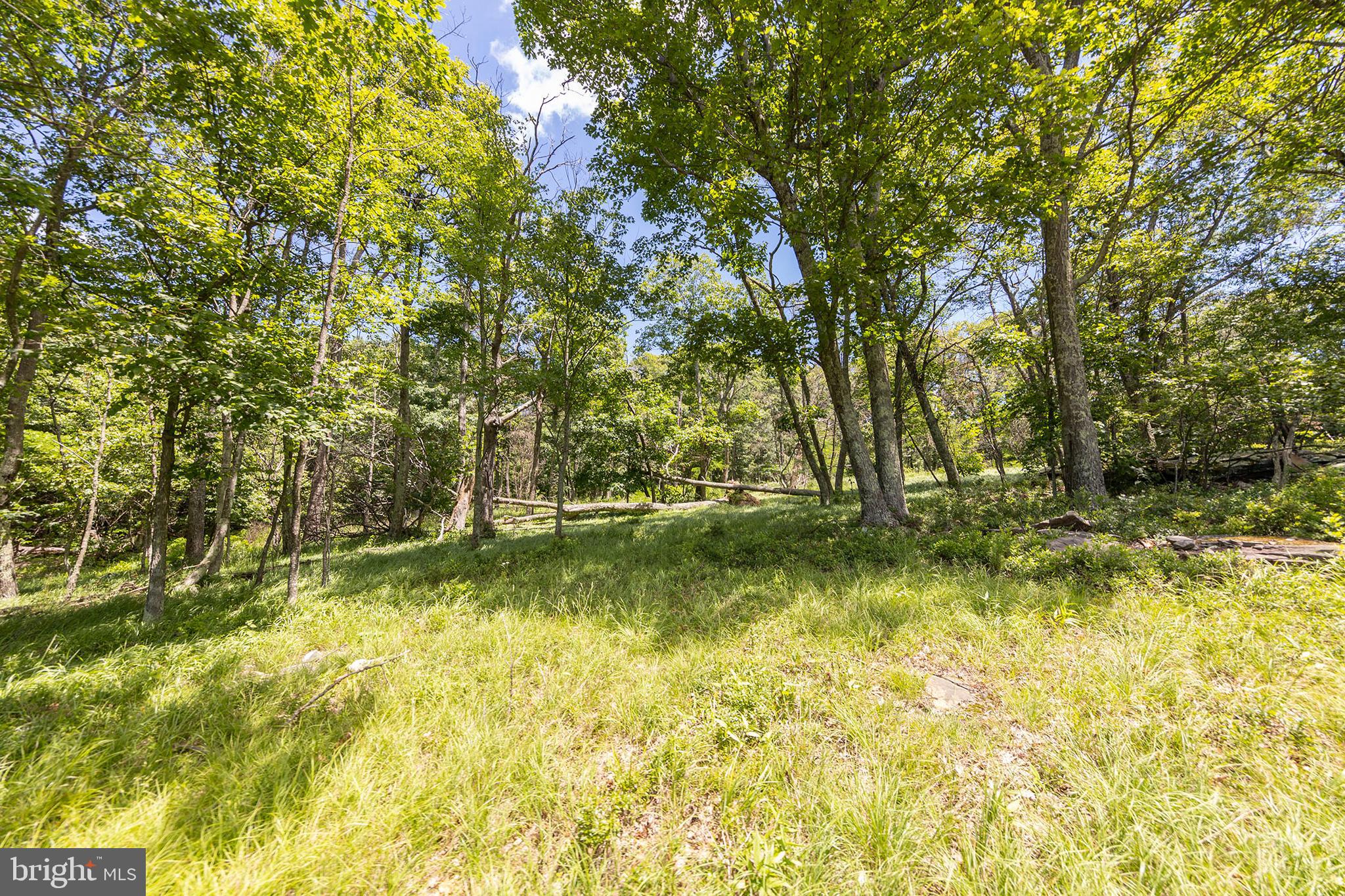 5982 South Branch Mountain Road Moorefield, WV 26836 - Photo 70 of 141