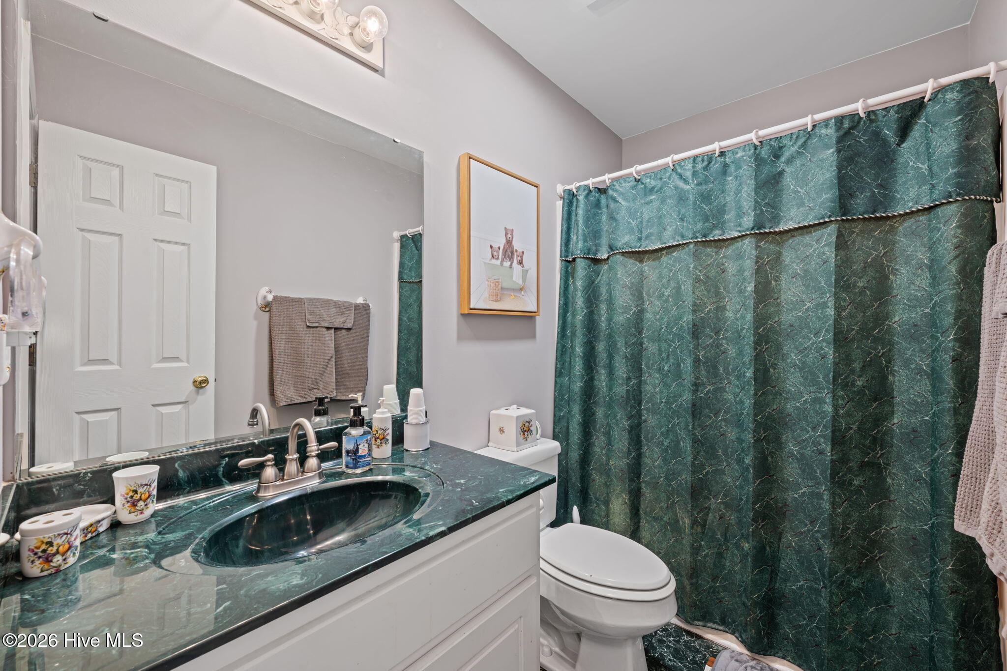 224 Stony Branch Road New Bern, NC 28562 - Photo 10 of 38 18-web-or-mls-DSC_1788