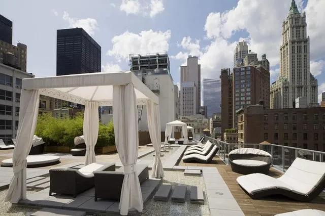 a view of a patio with couches chairs and a potted plant