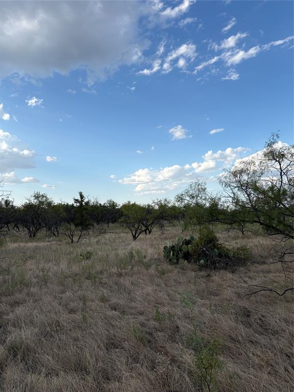 271 Wyatt Road Jacksboro, TX 76458 - Photo 16 of 40 Expansive natural landscape featuring mature trees, native vegetation, and open sky