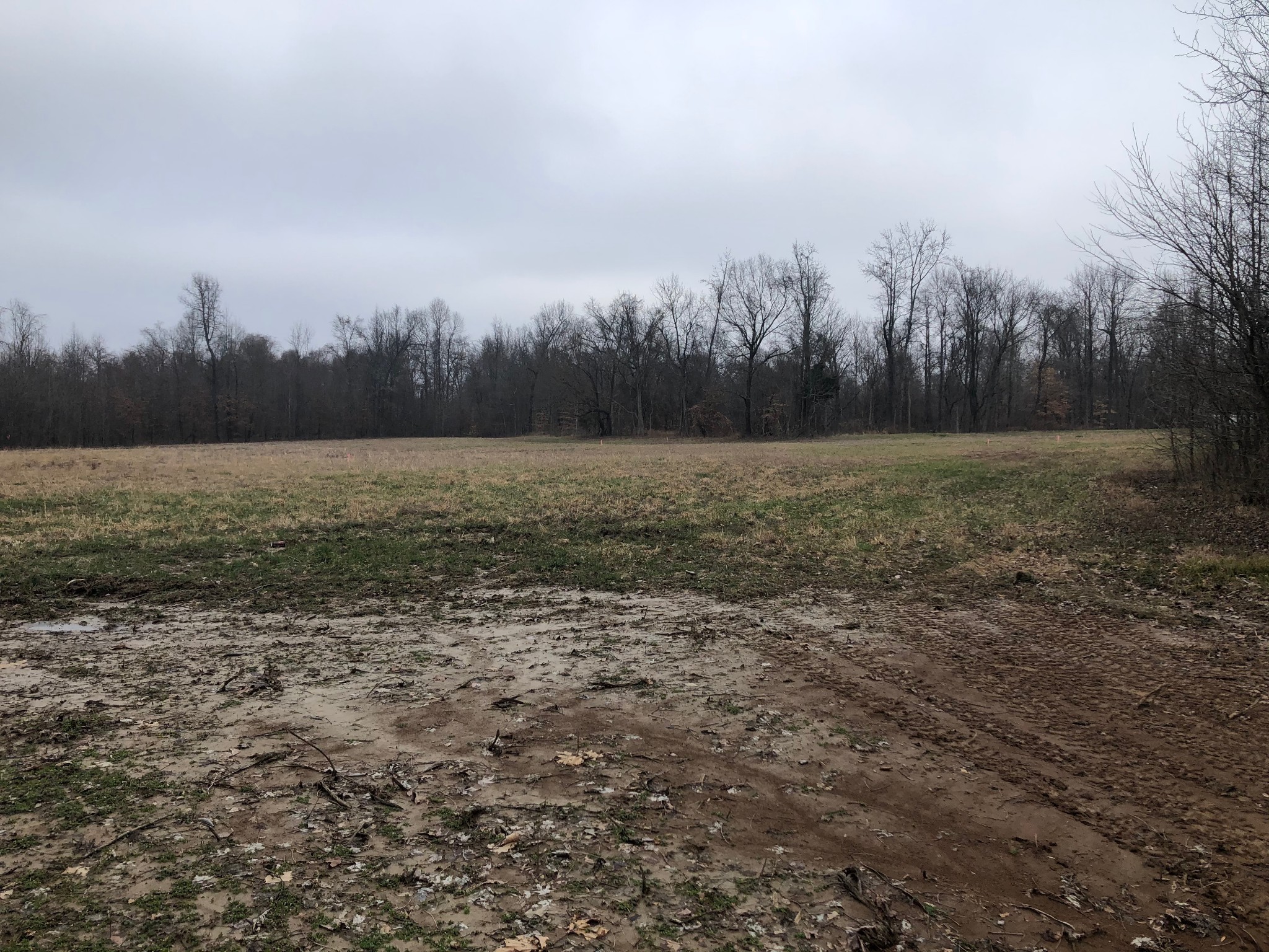 2319 Central Curve Road Ripley, TN 38063 - Photo 1 of 1