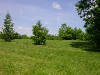 2975 Grimes Mill Road Lexington, KY 40515 - Photo 10 of 14 Photo 10