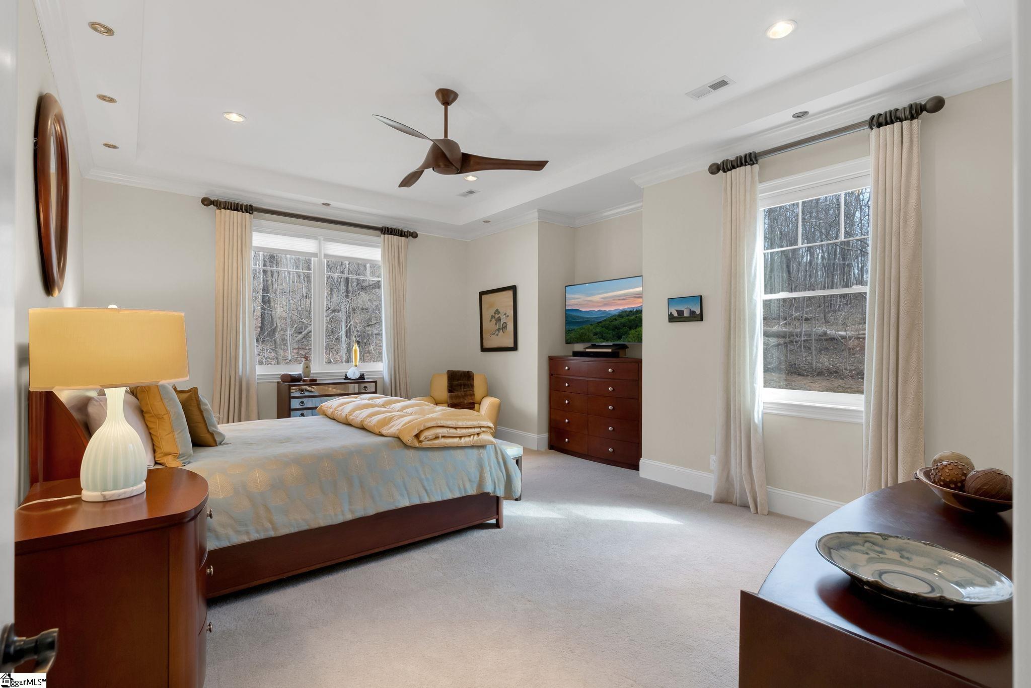 6 Goldeneye Court Landrum, SC 29356 - Photo 3 of 33