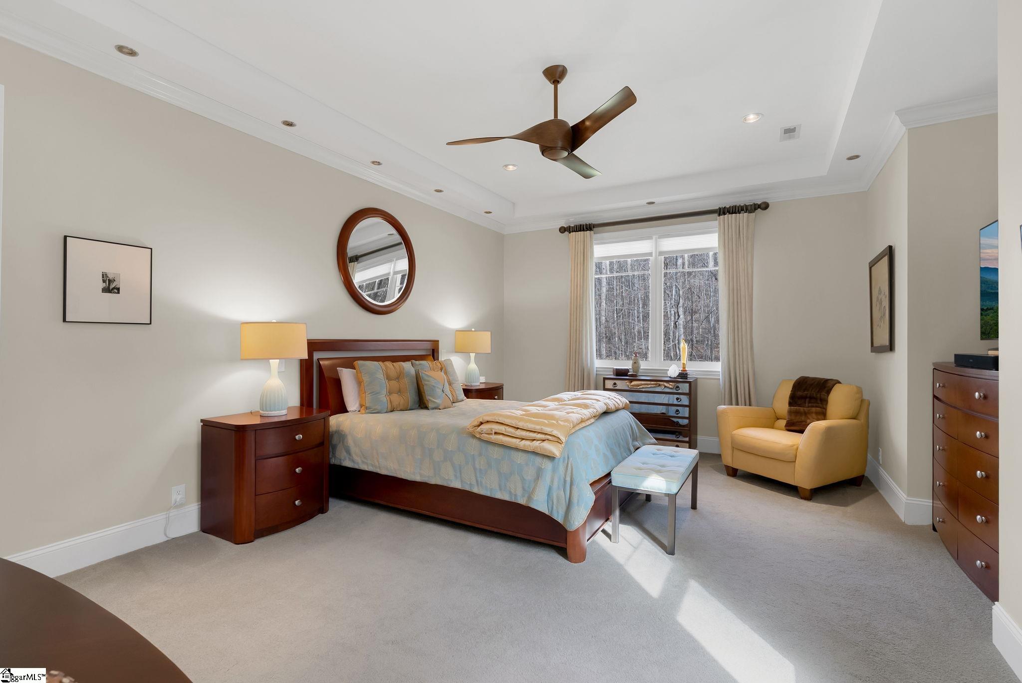 6 Goldeneye Court Landrum, SC 29356 - Photo 32 of 33