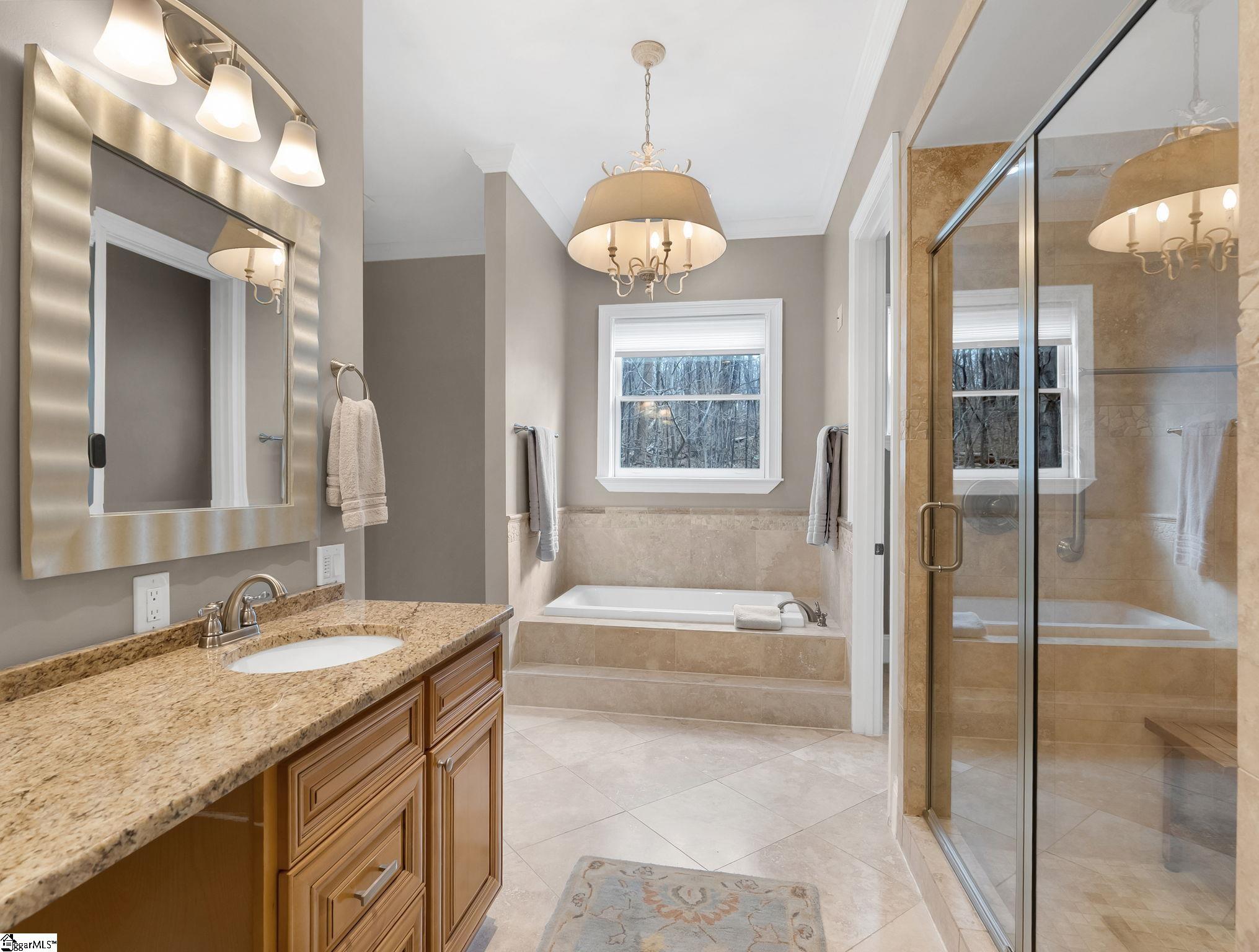 6 Goldeneye Court Landrum, SC 29356 - Photo 4 of 33