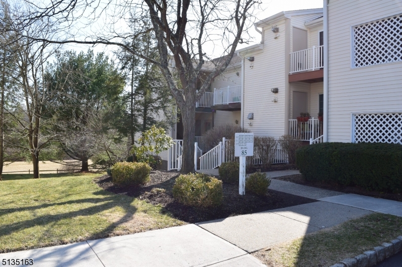 250 Potomac Drive Bernards, NJ 07920 - Photo 1 of 22 a view of a back yard of the house
