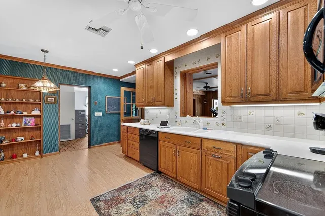 a view of a backyard with plants and large trees