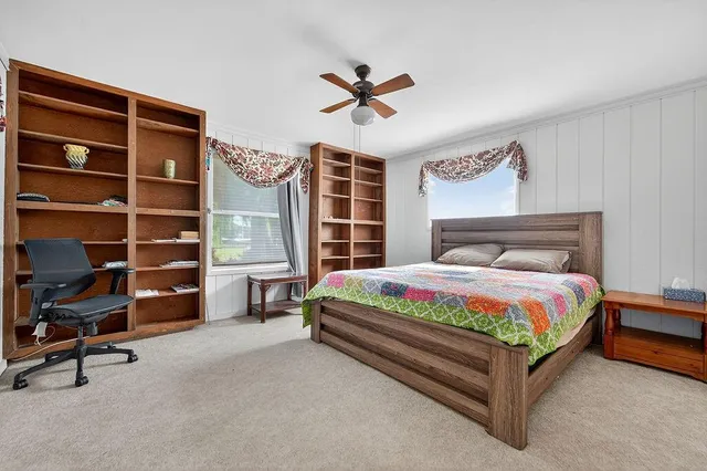 a view of a backyard with large trees