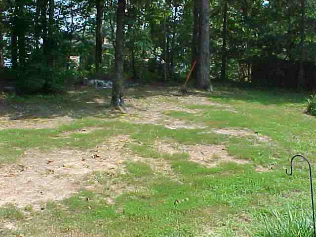 502 Wildmarsh Road Piedmont, SC 29673 - Photo 9 of 9 Gallery Image 9